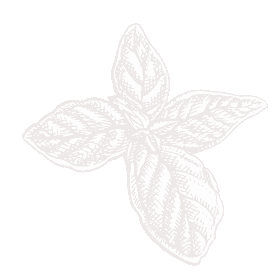 pepper bottom